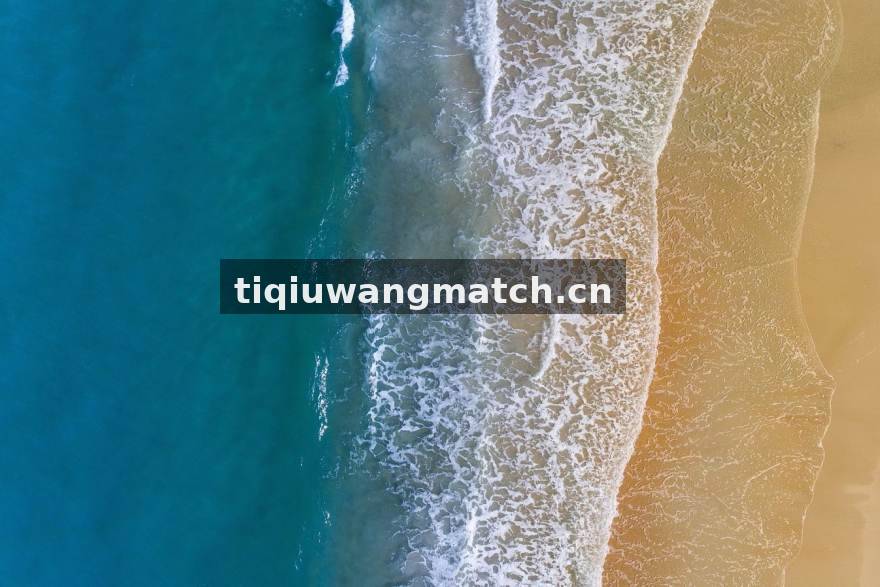 体球网阅读体验升级：多端同步与栏目订阅使用说明